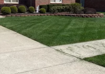 Affordable Landscaping