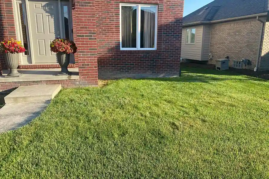 Reliable DW Landscape LLC's other services DW Landscape LLC's other services