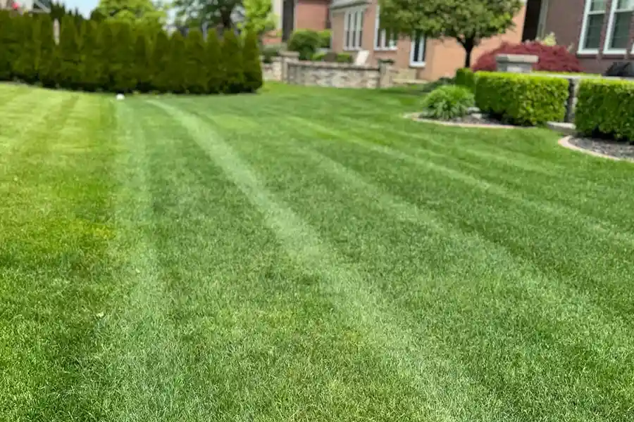 Reliable Grass Cutting Services Grass Cutting Services