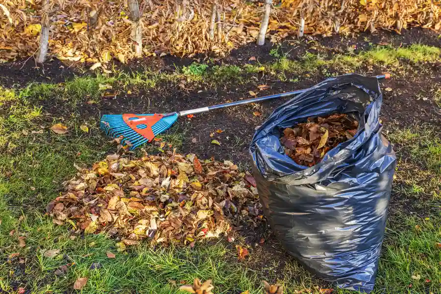 Affordable Yard Cleanup Detroit, MI Affordable Yard Cleanup Detroit, MI