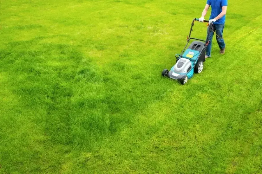 Choosing The Right Grass Cutting Services For Your Lawn in Detroit, MI