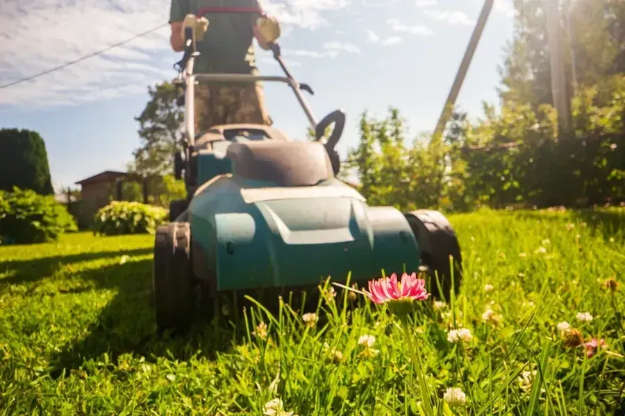 Experienced Grass Cutting Services Detroit, MI