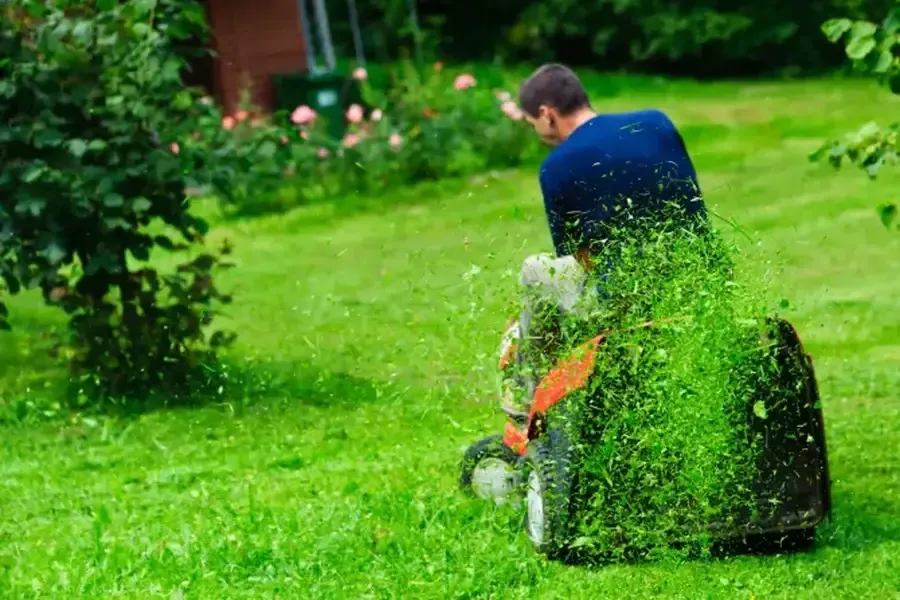 How Regular Grass Cutting Services Improve Lawn Health in Detroit, MI