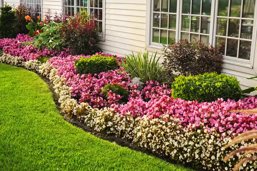 How To Enhance Curb Appeal With Residential Landscaping in Detroit, MI How To Enhance Curb Appeal With Residential Landscaping in Detroit, MI