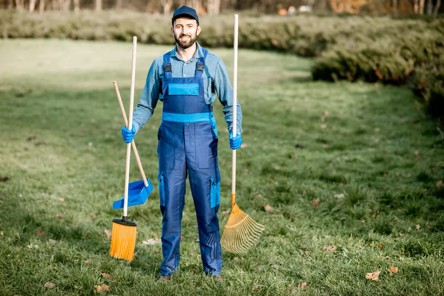 Reliable Yard Cleanup Detroit, MI Reliable Yard Cleanup Detroit, MI