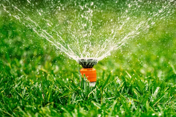 The Benefits Of Hiring A Professional For Sprinkler Repair in Detroit, MI The Benefits Of Hiring A Professional For Sprinkler Repair in Detroit, MI