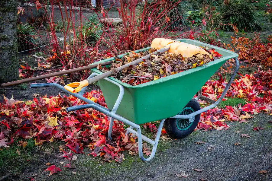 The Benefits Of Professional Yard Cleanup After Storms Detroit, MI The Benefits Of Professional Yard Cleanup After Storms Detroit, MI