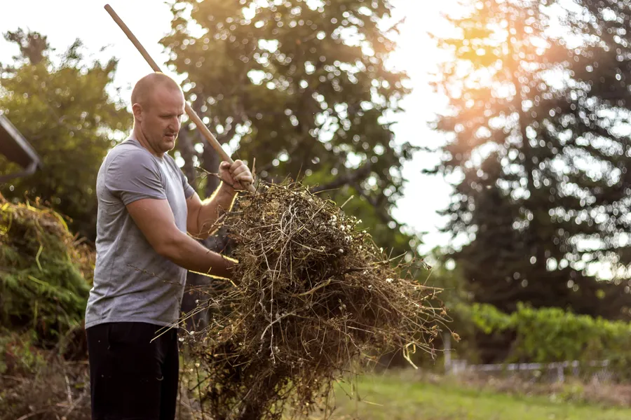 The Benefits Of Professional Yard Cleanup After Storms in Detroit, MI The Benefits Of Professional Yard Cleanup After Storms in Detroit, MI