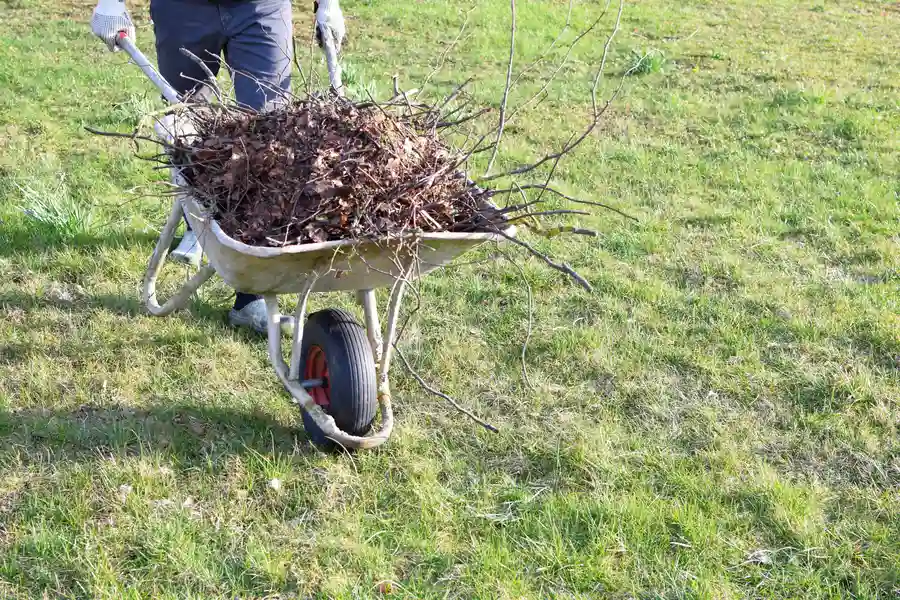 Why Regular Yard Cleanup Is Essential For Lawn Maintenance Detroit, MI Why Regular Yard Cleanup Is Essential For Lawn Maintenance Detroit, MI