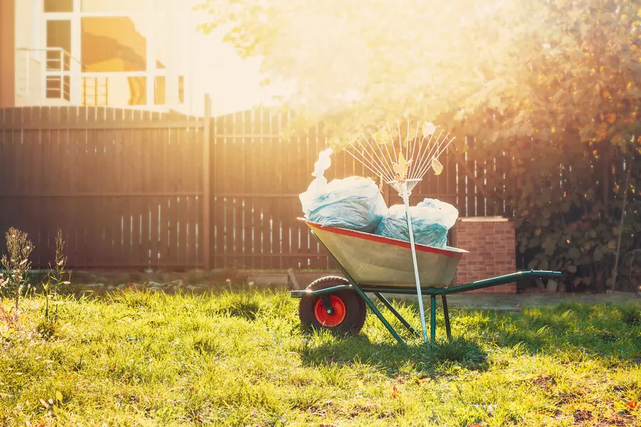 Why Regular Yard Cleanup Is Essential For Lawn Maintenance in Detroit, MI Why Regular Yard Cleanup Is Essential For Lawn Maintenance in Detroit, MI