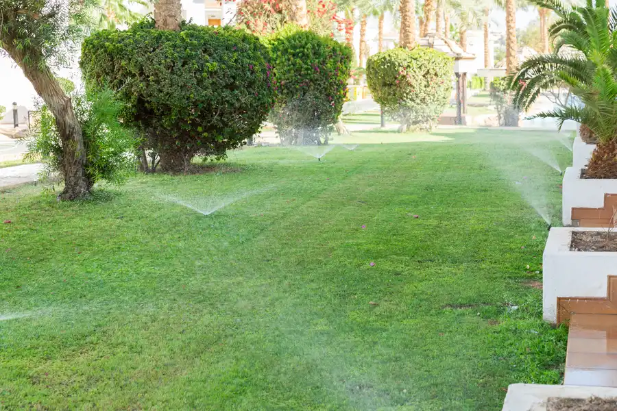 Why Timely Sprinkler Repair Is Crucial For Lawn Health Detroit, MI Why Timely Sprinkler Repair Is Crucial For Lawn Health Detroit, MI